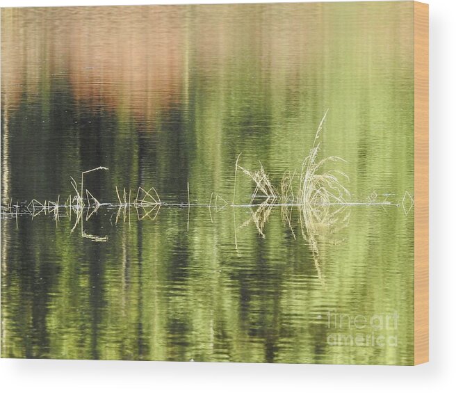 Water Wood Print featuring the photograph Stillness by Nicola Finch