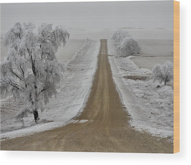 North Dakota Wood Print featuring the photograph Straight Into The Fog by Amanda R Wright