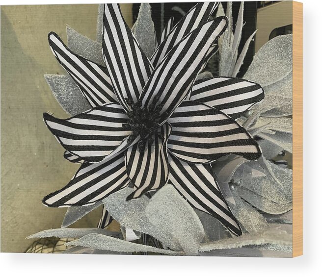 Black & White Wood Print featuring the photograph Striped Poinsettia by Brenna Woods