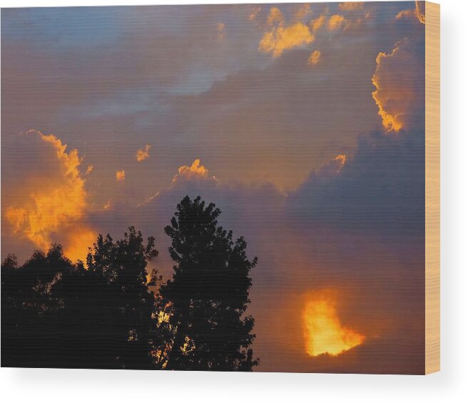 Sunset Wood Print featuring the photograph Summer Evening - One by Linda Stern