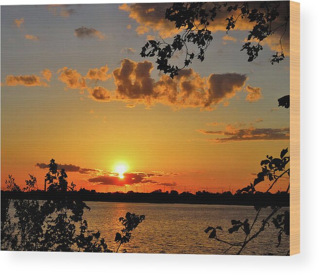 Sunset Wood Print featuring the photograph Sun Setting Over Philadelphia by Linda Stern