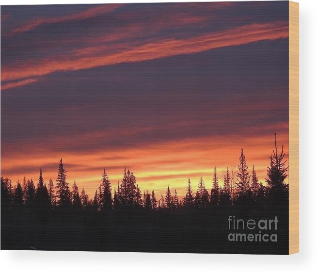 Sunset Wood Print featuring the photograph Sundown by Nicola Finch