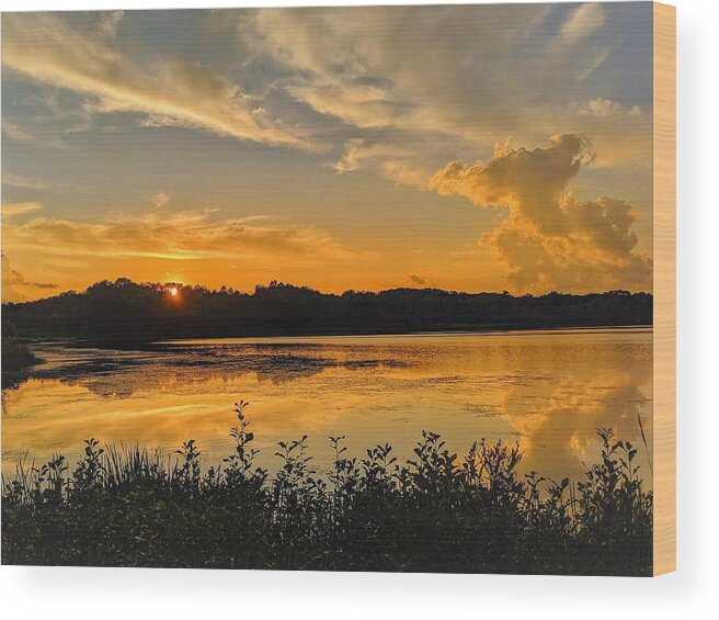  Wood Print featuring the photograph Sunny Lake Park Sunset by Brad Nellis