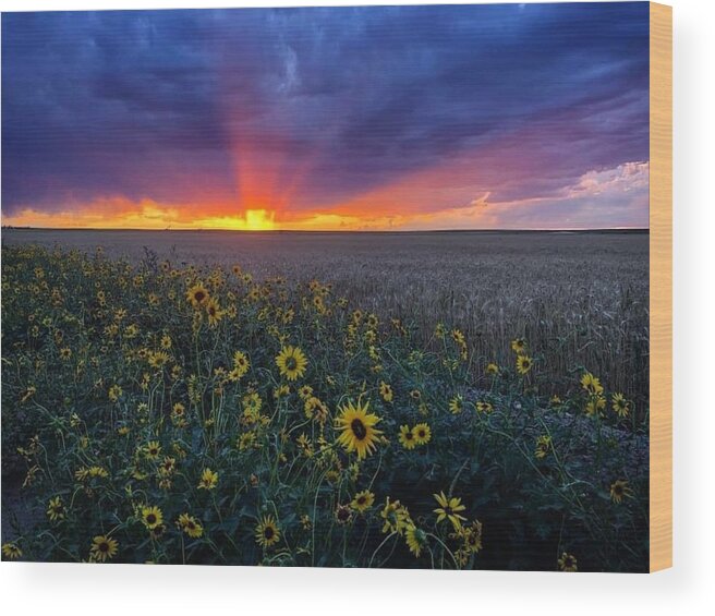 Sunset Wood Print featuring the photograph Sunset 1 by Julie Powell