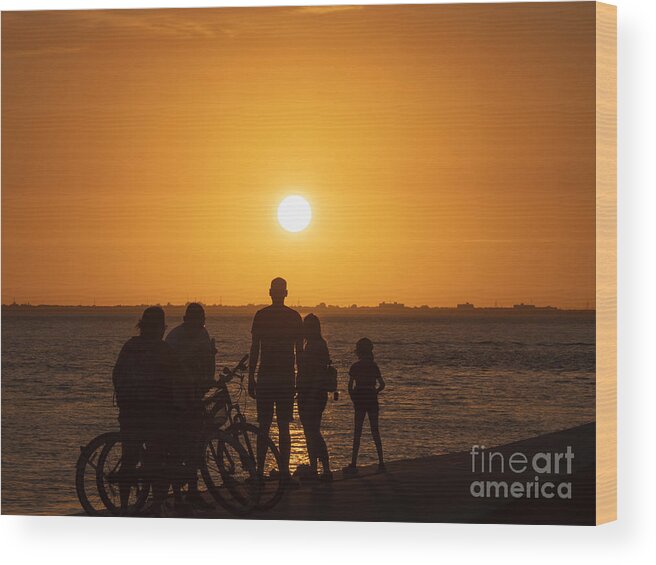 Sunset Wood Print featuring the photograph Sunset over Tampa Bay in Silhouette by L Bosco