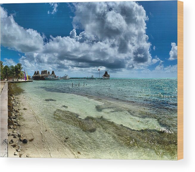 Caribbean Wood Print featuring the photograph Tarpon Time by Devin Wilson