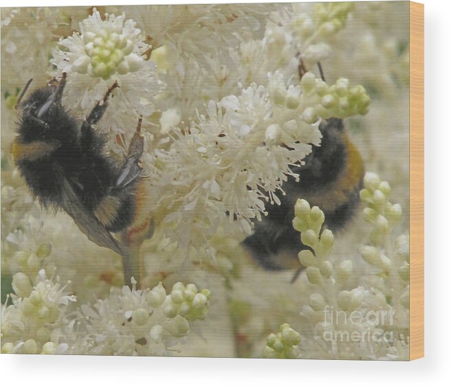 Bees Wood Print featuring the photograph Tea For Two 2 by Kim Tran