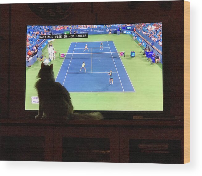 Cat Wood Print featuring the photograph Tennis Fan Cat by Karen Zuk Rosenblatt