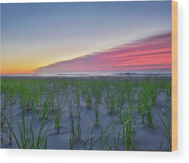 Lavallette Nj Wood Print featuring the photograph The Color Of Sunny Pre-Sunrise by Richard Pasquarella