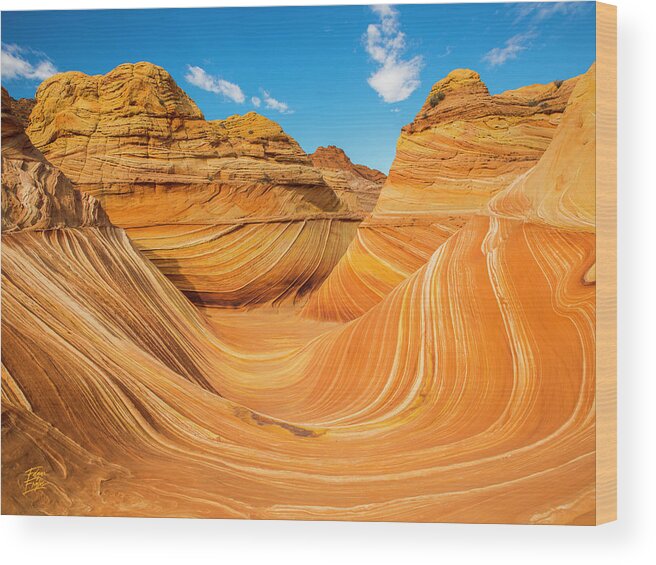 Amazing Wood Print featuring the photograph The Wave by Edgars Erglis