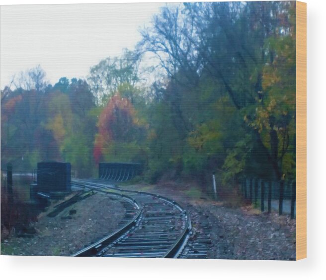  Wood Print featuring the photograph Towners Woods Tracks by Brad Nellis