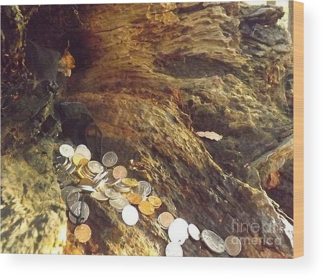 Old Coins Wood Print featuring the photograph Treasure Bark 5 by Denise Morgan