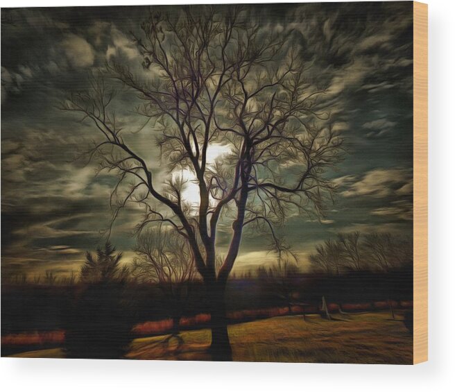 Tree Wood Print featuring the photograph Tree at Sunset by Christopher Reed