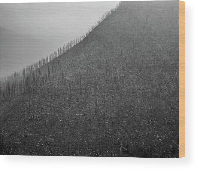 Trees Wood Print featuring the photograph Tree Skeletons on Hills by Pak Hong