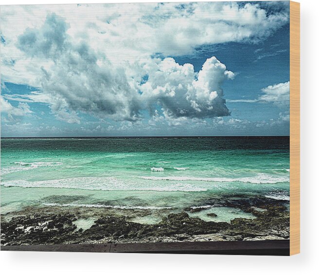 Druified Wood Print featuring the photograph Tulum Beach by Rebecca Dru