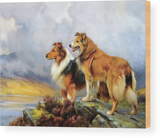 Two Collies Above A Lake Wood Print featuring the photograph Two Collies Above A Lake by Wright Barker by Carlos Diaz