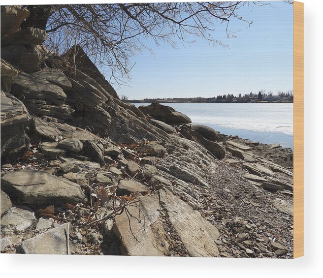 Tree Wood Print featuring the photograph View From The Shore by Amanda R Wright