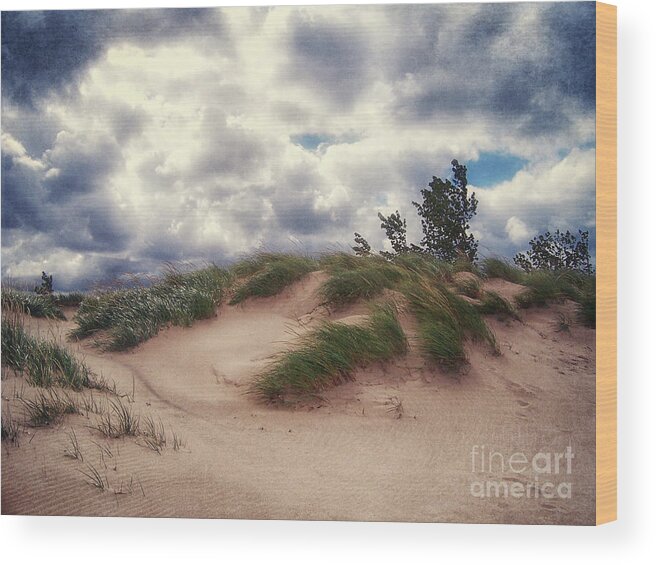 Lake Michigan Wood Print featuring the photograph Vintage Sand Dunes by Phil Perkins