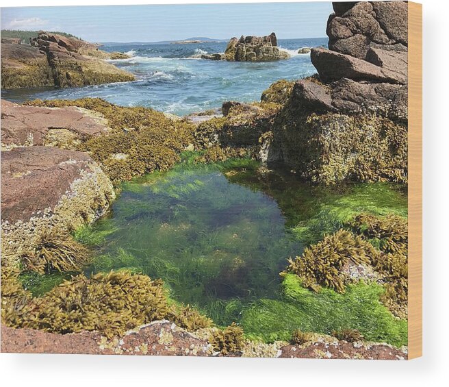 Ocean Wood Print featuring the photograph Wading Pool by Lee Darnell
