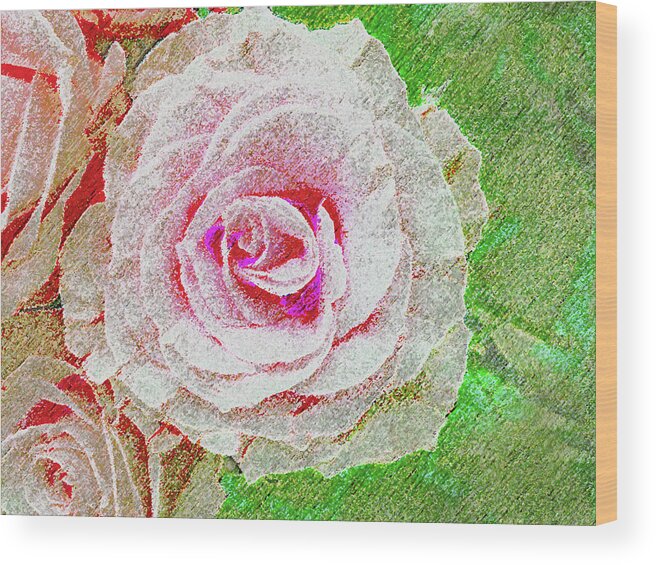 Rose Wood Print featuring the photograph White Rose in Pink and Green by Corinne Carroll