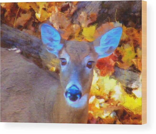 Whitetail Wood Print featuring the mixed media Whitetail by Christopher Reed