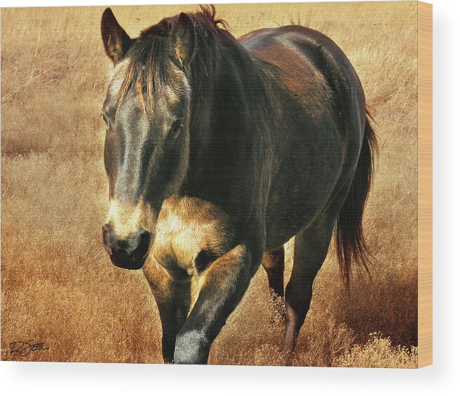 Horse Wood Print featuring the photograph Wild Beauty by Rod Seel