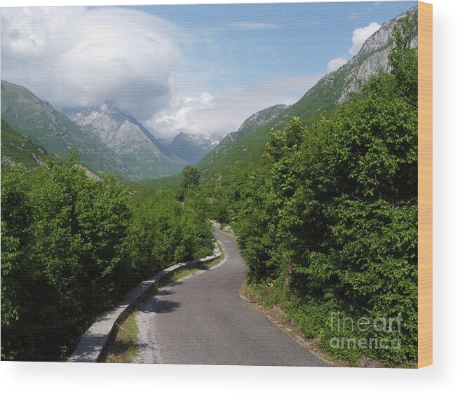 Theth Wood Print featuring the photograph Winding Road to Theth - Albania by Phil Banks