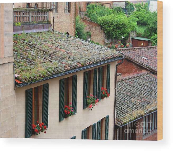 Window Boxes Wood Print featuring the photograph Window Boxes and Tile Roofs 0919 by Jack Schultz