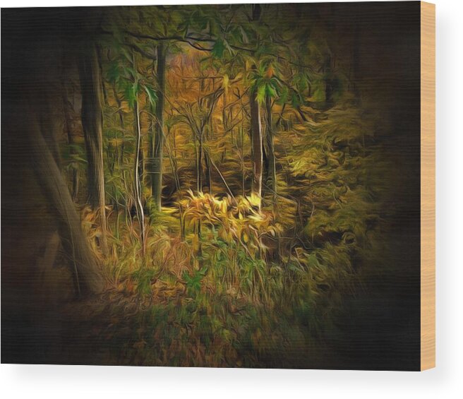 Forest Wood Print featuring the photograph Window into the Forest by Christopher Reed