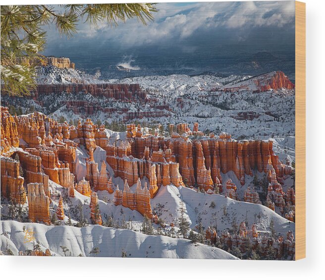 Arches Wood Print featuring the photograph Winter Breeze by Edgars Erglis
