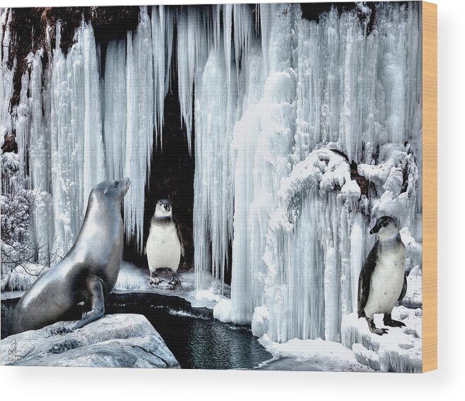 Penguins Wood Print featuring the photograph Winter Playground by Pennie McCracken