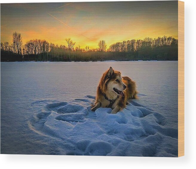  Wood Print featuring the photograph Winter Sunset by Brad Nellis