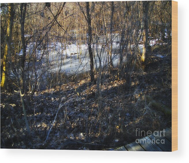 Landscape Photography Wood Print featuring the photograph Winter Wetlands by the Trail by Frank J Casella