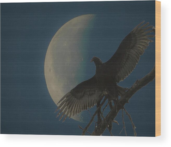 Vulture Wood Print featuring the photograph With Arms Wide Open by Carl Moore