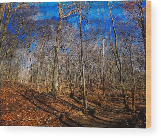 Woods Wood Print featuring the digital art Woods with Deep Blue Sky by Russ Considine