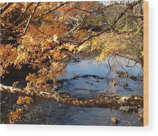 Haw River Wood Print featuring the photograph Yellow and Blue Fall in NC by Shirley Galbrecht