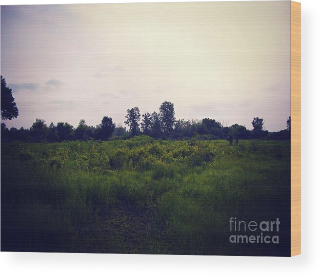 Landscap Wood Print featuring the photograph Yellow Flowers In The Field by Frank J Casella by Frank J Casella