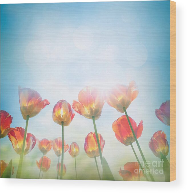 Abstract Wood Print featuring the photograph Yellow tulips #1 by Mythja Photography