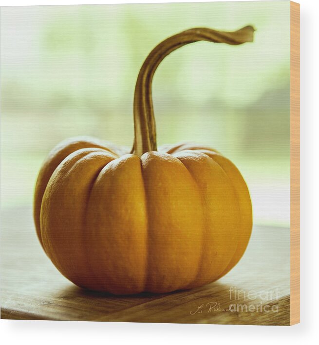 Pumpkin Wood Print featuring the photograph Small Orange Pumpkin #1 by Iris Richardson