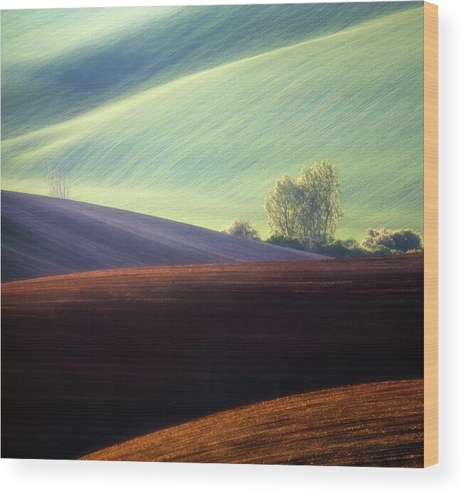 Fields Wood Print featuring the photograph Fields... #3 by Krzysztof Browko