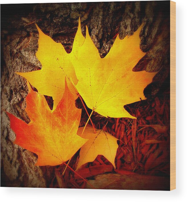 Fine Art Wood Print featuring the photograph Autumn Fire by Rodney Lee Williams