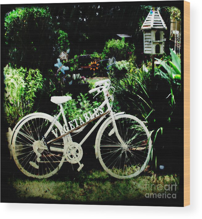 Bicycle Wood Print featuring the photograph Bicycle and Bird House by Therese Alcorn