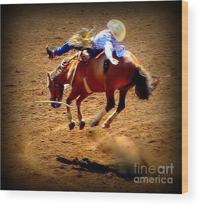 Horses Wood Print featuring the photograph Bucking Broncos Rodeo Time by Susan Garren