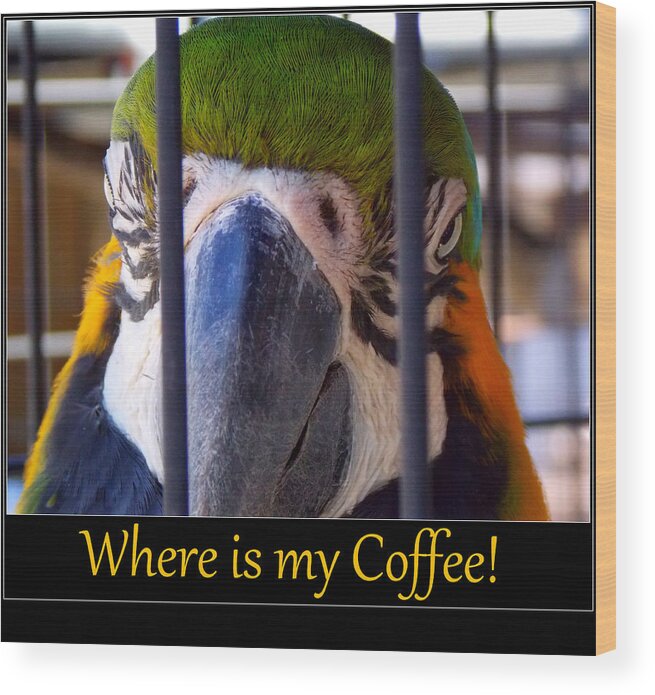 Parrot Wood Print featuring the photograph Coffeee by Sheri McLeroy