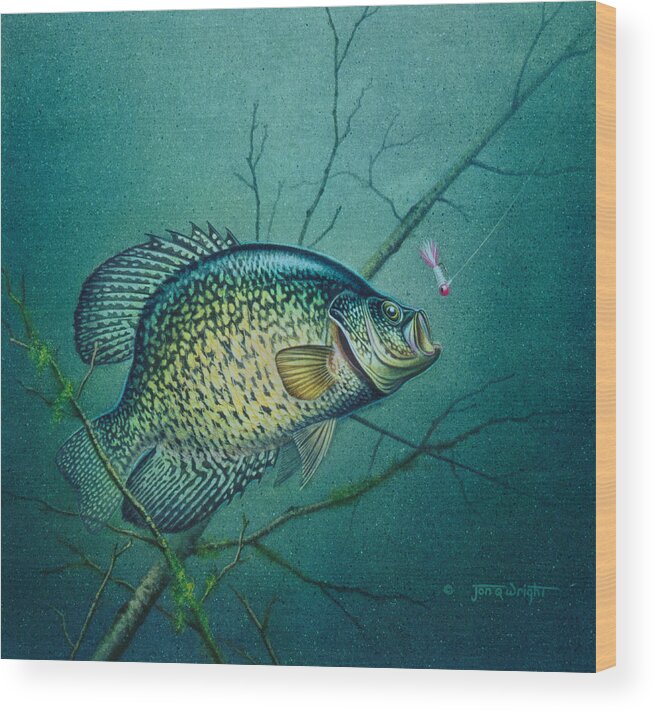 Jon Q Wright Wood Print featuring the painting Crappie and Pink Jig by JQ Licensing