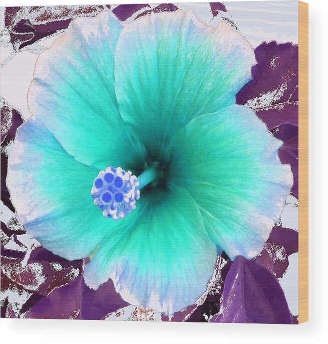 Dream Wood Print featuring the photograph Dreamflower by Linda Bailey