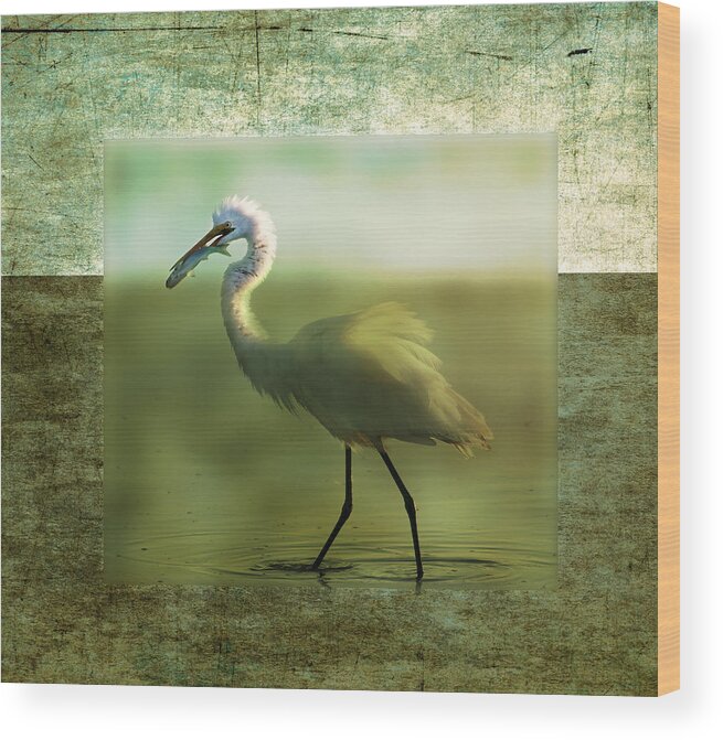 Great White Egrets Wood Print featuring the photograph Egret with Fish by Melinda Dreyer