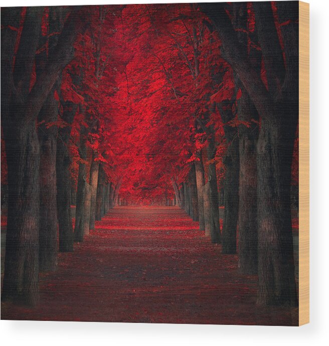 Creative Edit Wood Print featuring the photograph Endless Passion by Ildiko Neer
