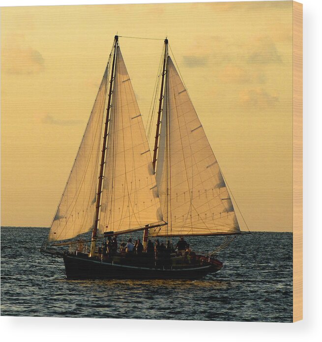 Water Wood Print featuring the photograph More Sails in Key West by Bob Slitzan