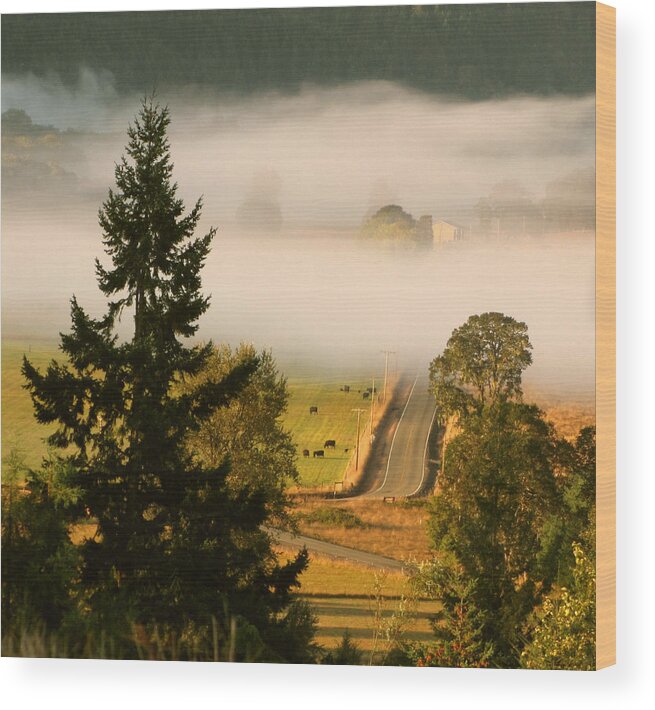 Tree Wood Print featuring the photograph Foggy Morning Drive by KATIE Vigil